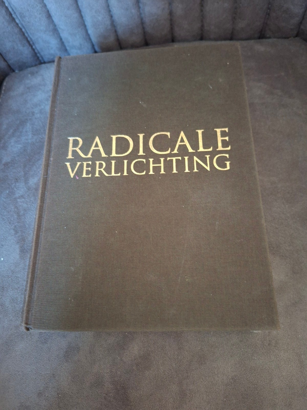 Radicale Verlichting - Jonathan Israel, Ophalen of Verzenden, Gelezen, Jonathan Israel, Nederland