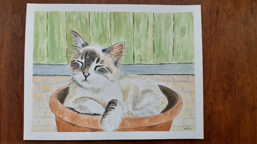Aquarel slapende kitten in bloempot. 35 x 27 cm, Ophalen, Minder dan 50 cm, Oorspronkelijke maker, Nieuw