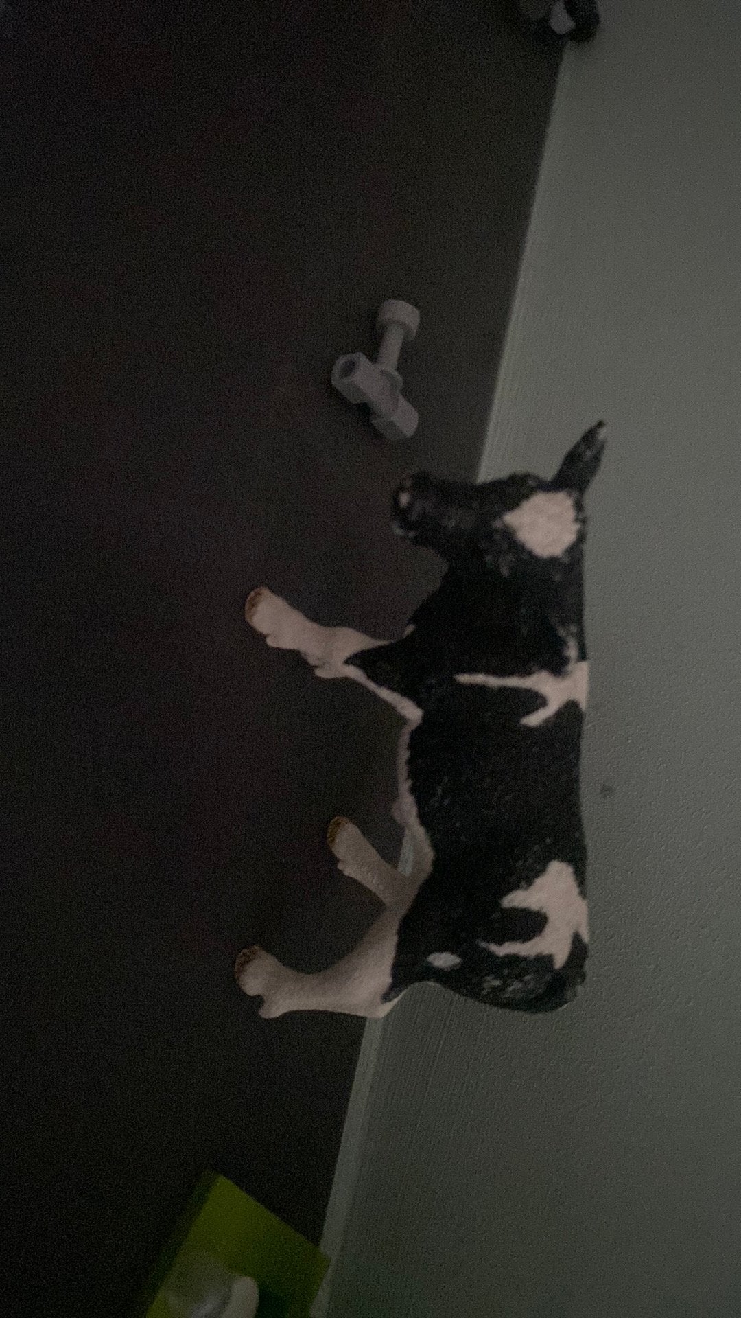 Schleich koe, Ophalen, Zo goed als nieuw