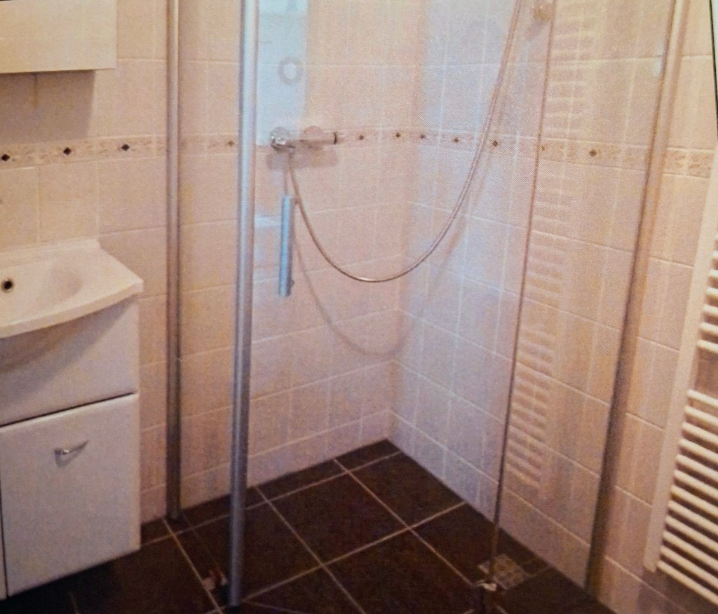 DOUCH DEUR/CABINE, Ophalen, Gebruikt, Rvs, Douche