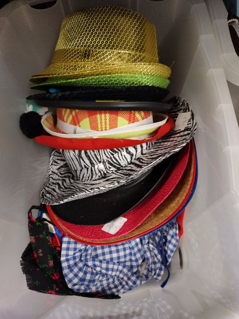 Te koop aangeboden: Partij hoeden, petten, mutsen., Ophalen of Verzenden, Zo goed als nieuw, Carnaval