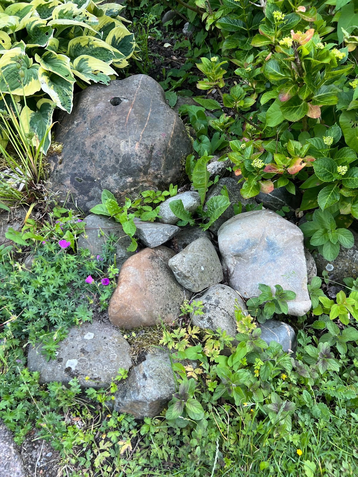 Gratis af te halen – natuurlijke zwerfkeien in diverse maten, Tuin en Terras, Grind, Keien en Split, Ophalen, Zo goed als nieuw