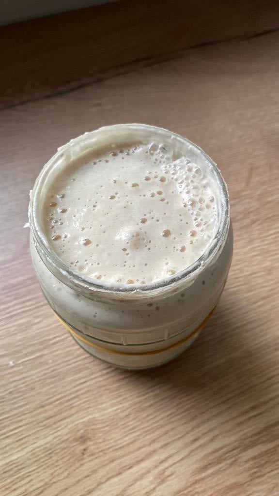 Te koopTarwe starter, Ophalen of Verzenden