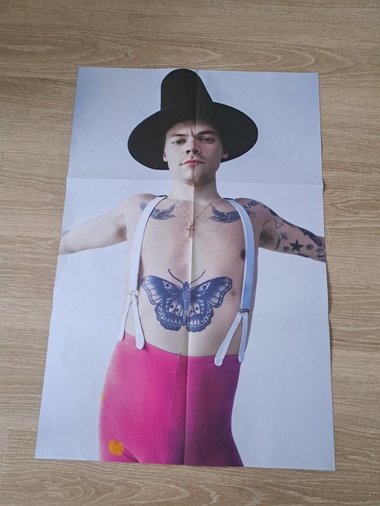 Harry Styles Poster - Nieuw en Ongebruikt, Rechthoekig Staand, Nieuw, Ophalen of Verzenden, A1 t/m A3