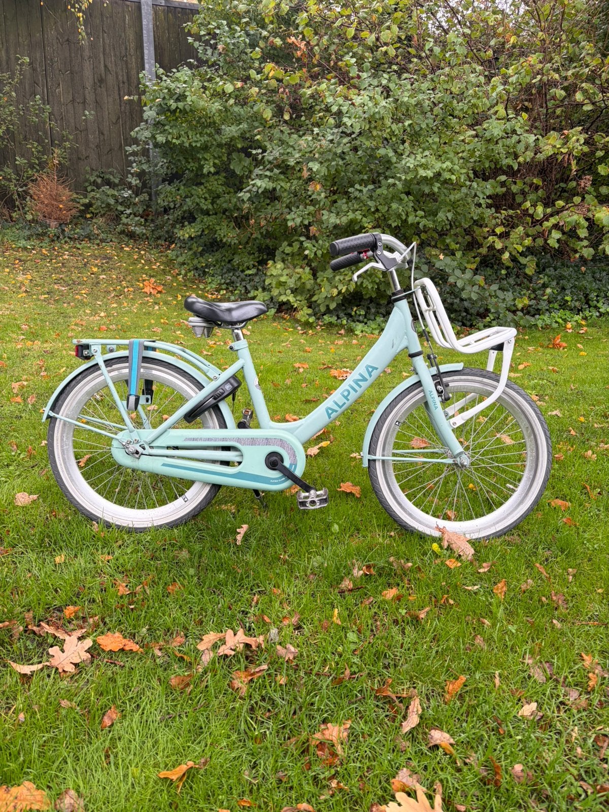 Alpina Clubb 20 inch meisjes fiets, Ophalen, Terugtraprem, Gebruikt, Handrem