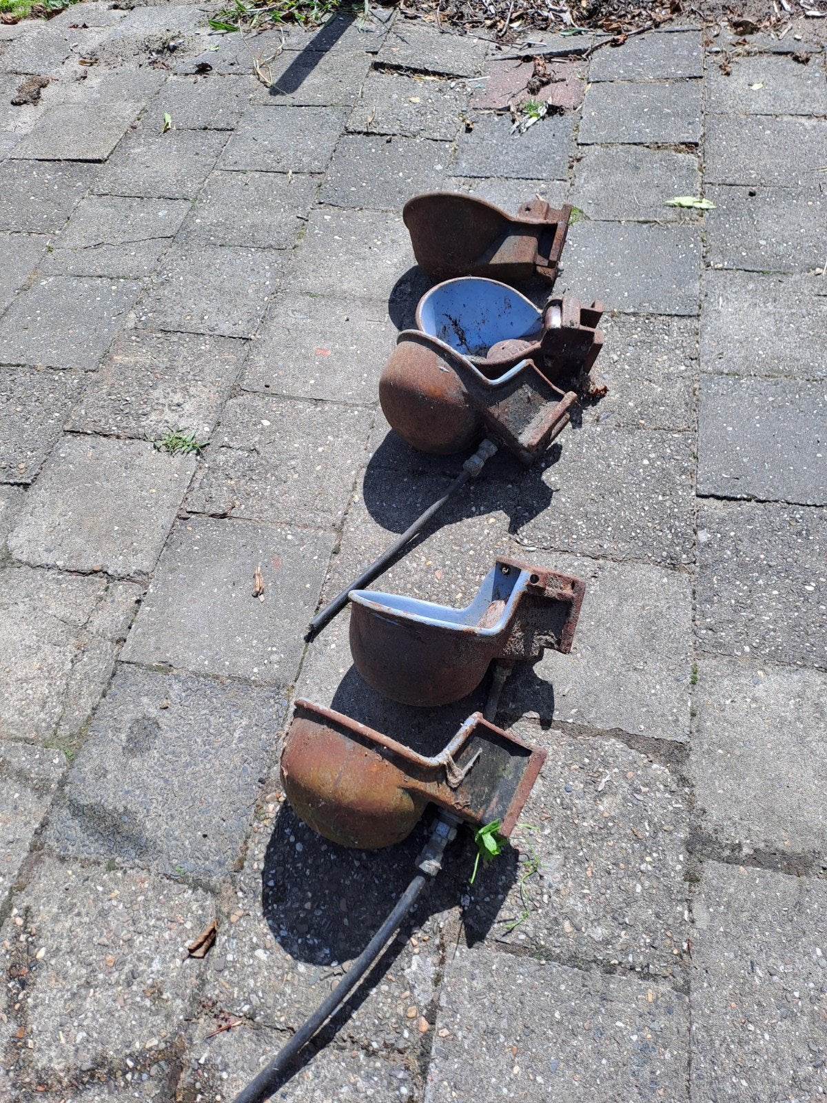 drink bakken, Ophalen of Verzenden