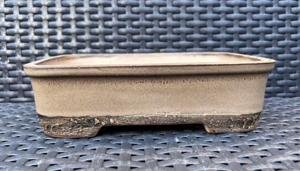 Bonsai schaal handgemaakt Slovakia crème-bruin 21,6x14,5x5,9, Nieuw, Ophalen of Verzenden, Aardewerk, Rechthoekig