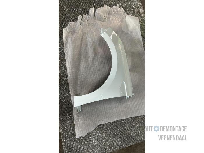 Scherm links-voor van een Renault Clio (OV369), -, Renault, -, Nieuw
