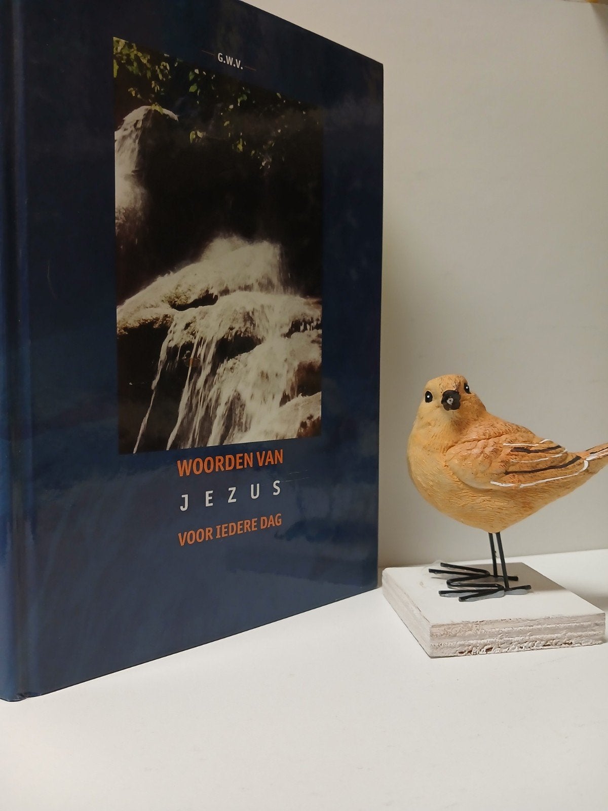 GWV: Woorden van Jezus voor iedere dag (Dagboek), Boeken, Ophalen of Verzenden, Gelezen, Christendom | Protestants