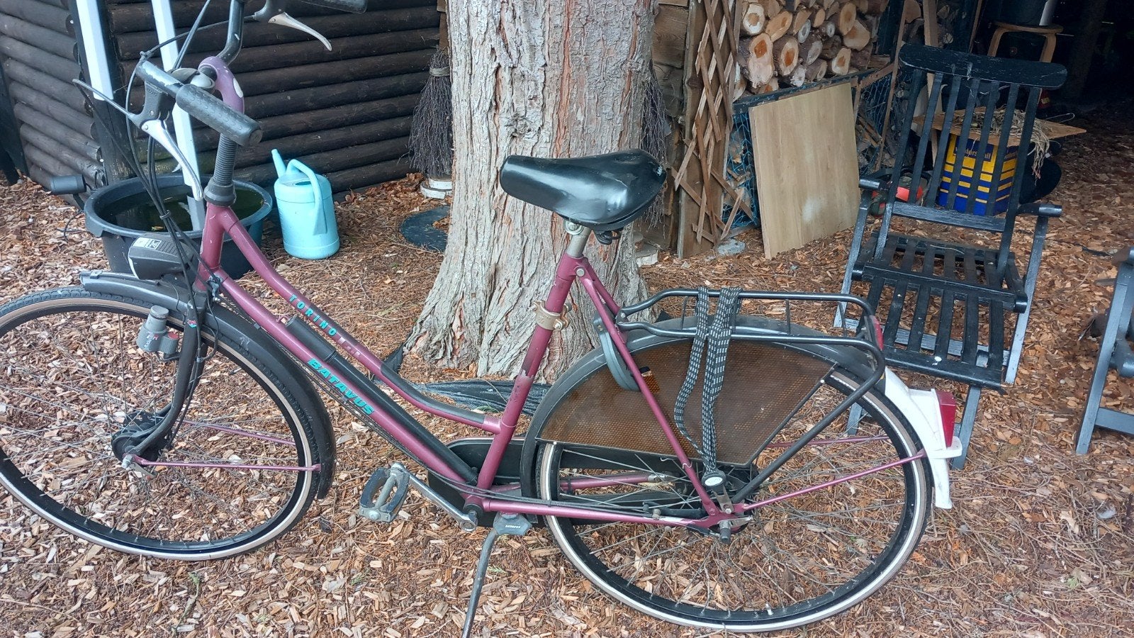 Damesfiets met lage instap en bagagedrager, Fietsen en Brommers, Fietsen | Dames | Damesfietsen, Overige merken, Velgrem, Ophalen of Verzenden