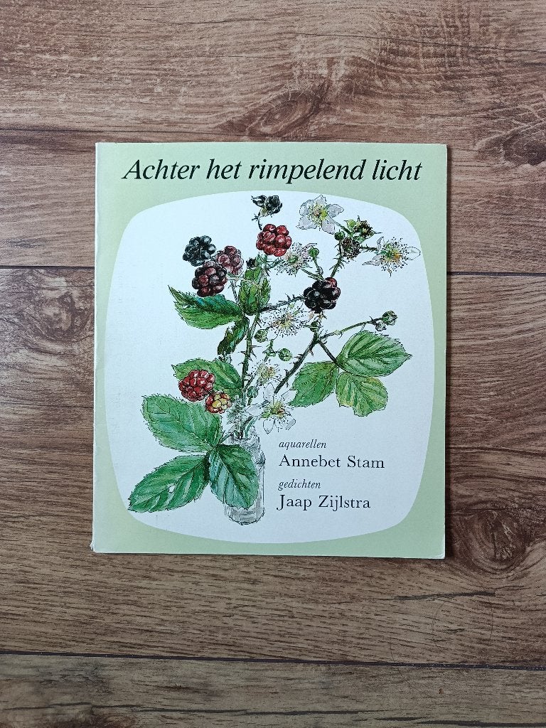 Achter het rimpelend licht - Aquarellen en gedichten, Hobby en Vrije tijd, Ophalen of Verzenden, Zo goed als nieuw, Album of Boek