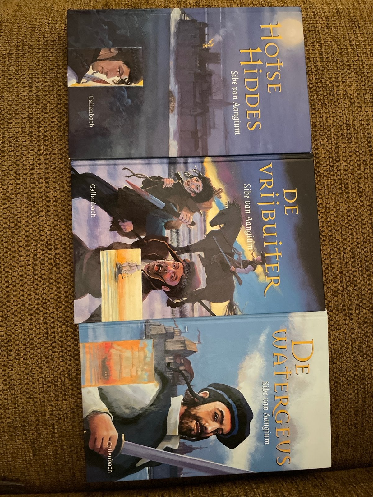 Hotse Hiddes trilogie - Sibe van Aangium, Boeken, Ophalen of Verzenden, Zo goed als nieuw, Fictie algemeen