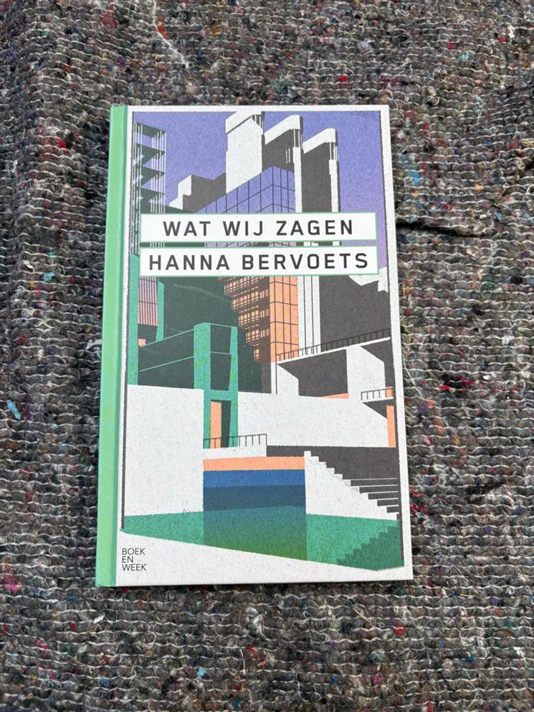 Wat Wij Zagen - Hanna Bervoets (Boek en Week), Boeken, Boekenweekgeschenken, Zo goed als nieuw, Ophalen of Verzenden