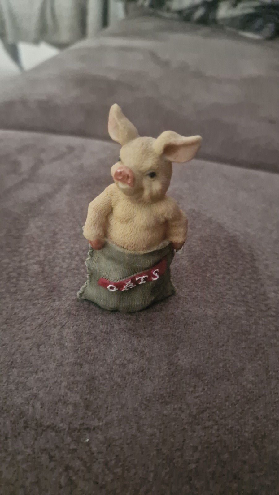 Schattig varkentje in zakje - The Leonardo Collection, Verzamelen, Ophalen of Verzenden, Zo goed als nieuw, Dier