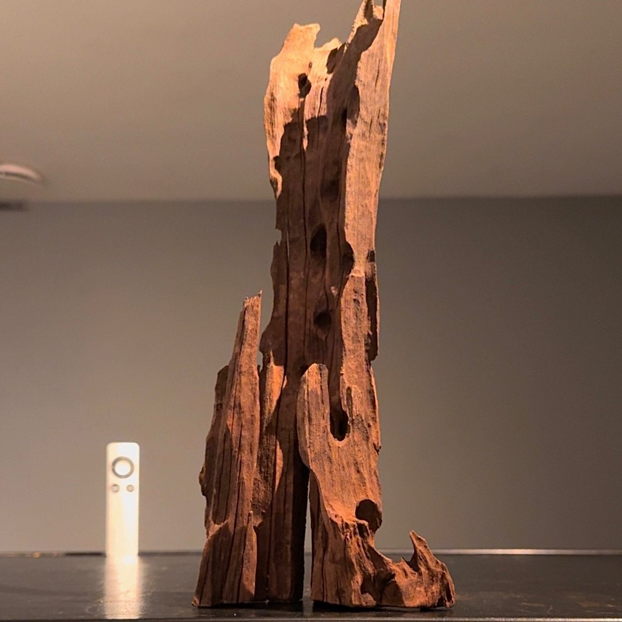 Uniek stuk Kienhout / Spiderwood / Driftwood, Hout Decoratie, Ophalen of Verzenden, Zo goed als nieuw, Plant(en), Steen of Hout