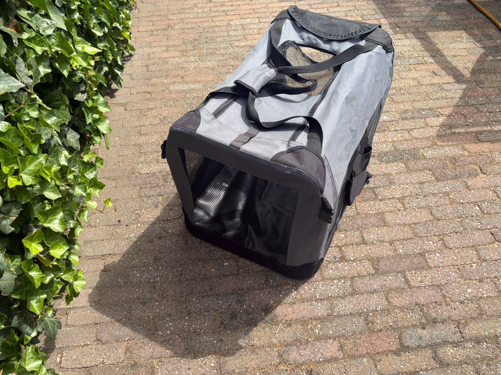 REISBENCH VOOR HOND OF KAT, Ophalen, Zo goed als nieuw