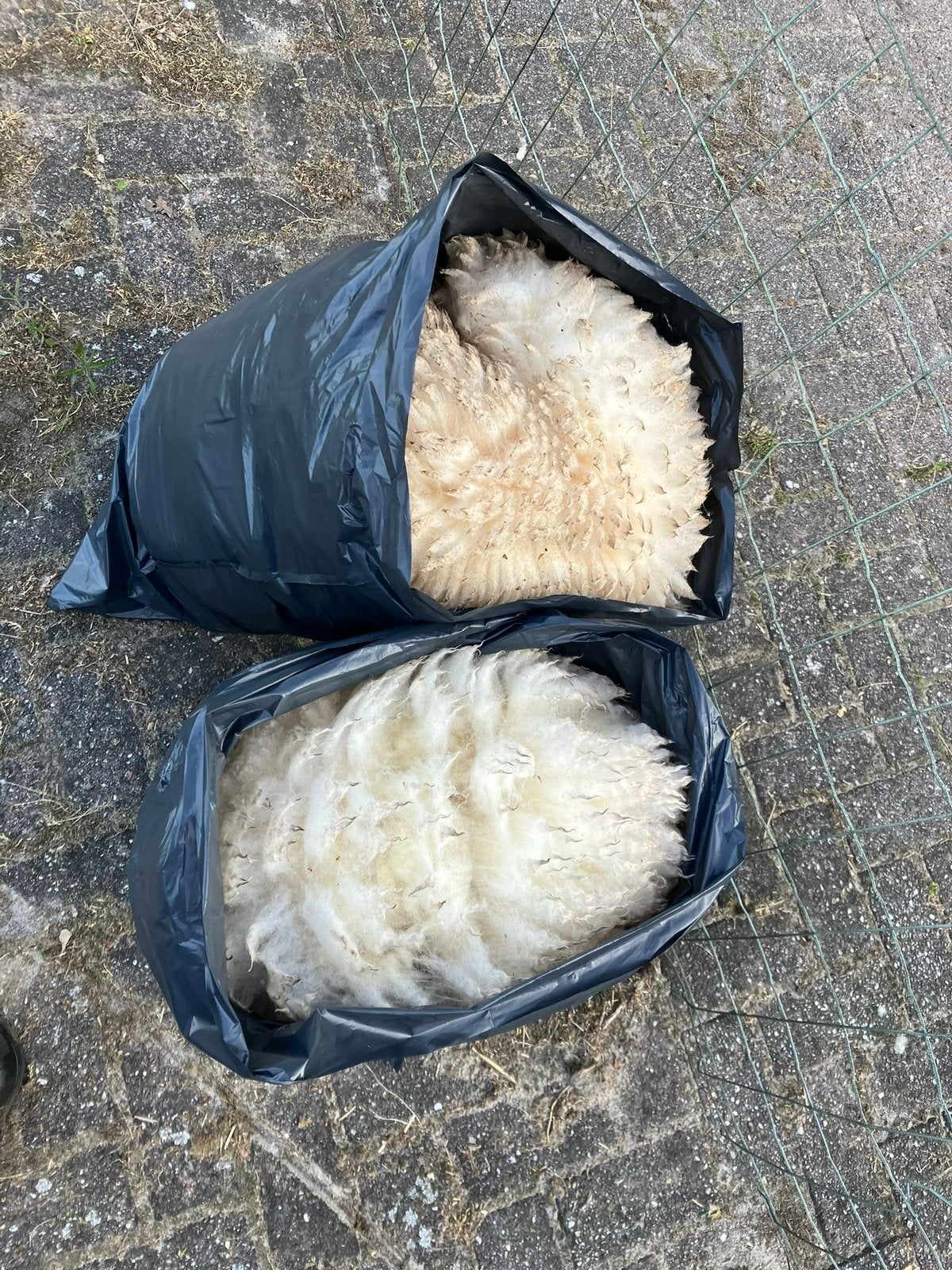Clun forest wollen vachten, nog enkele, Ophalen of Verzenden, Spinwol