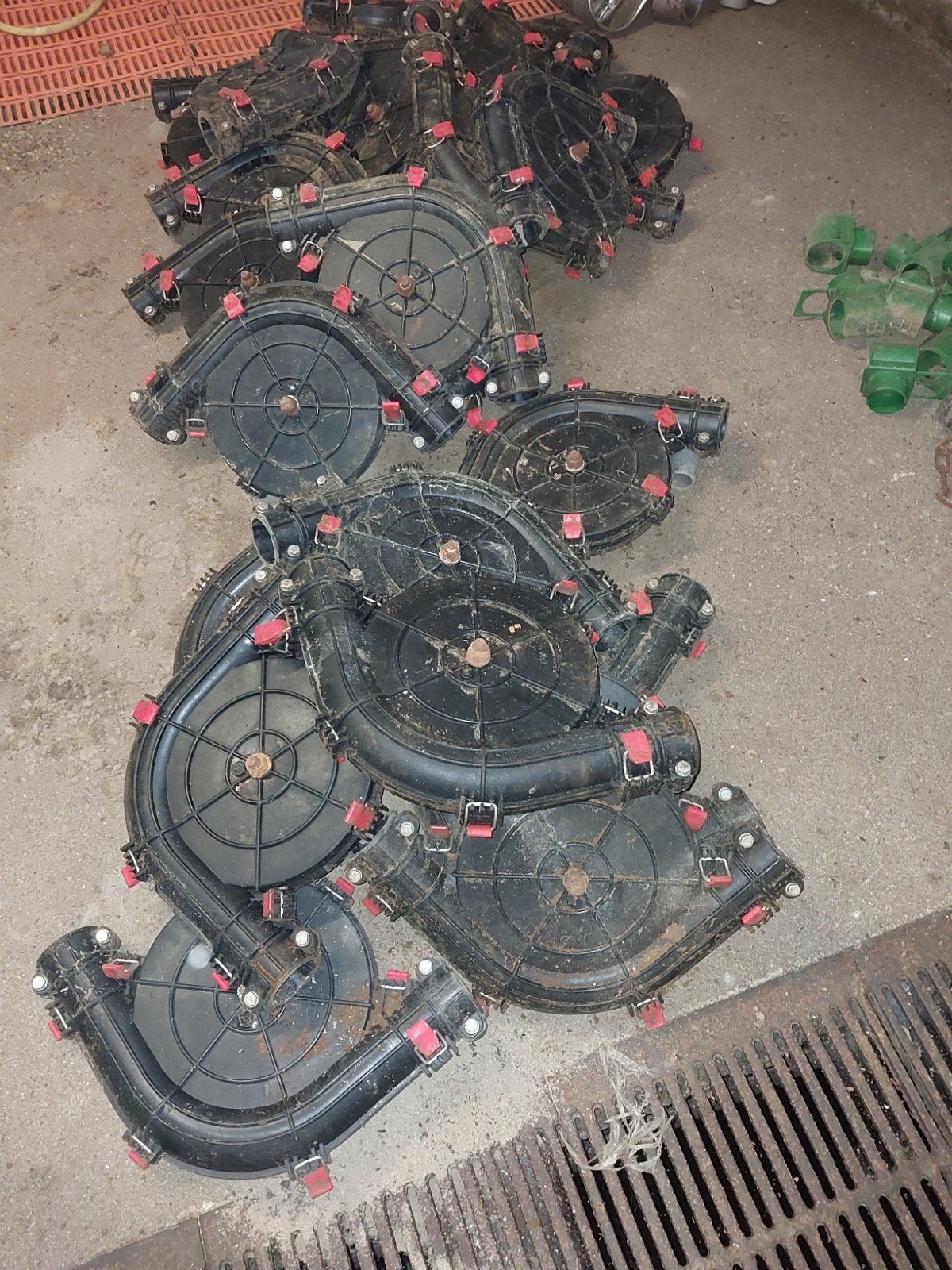 30 Vdl 60 mm bochten., Dieren en Toebehoren, Geslacht onbekend, Varken