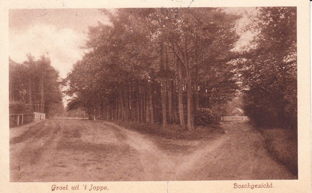 Gorssel  -  bosgezicht bij 't Joppe  ,  1934          =0007=, Ophalen of Verzenden, 1920 tot 1940, Gelopen, Gelderland