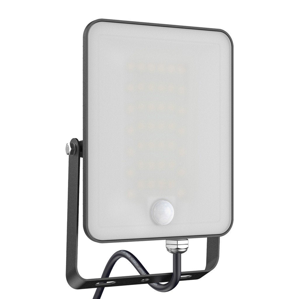 LED Schijnwerper met bewegingssensor 30W 230V, Verzenden