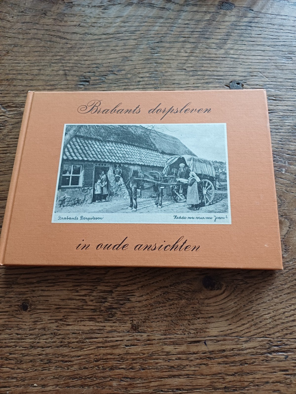 Brabants dorpsleven in oude ansichten, Boeken, Ophalen of Verzenden
