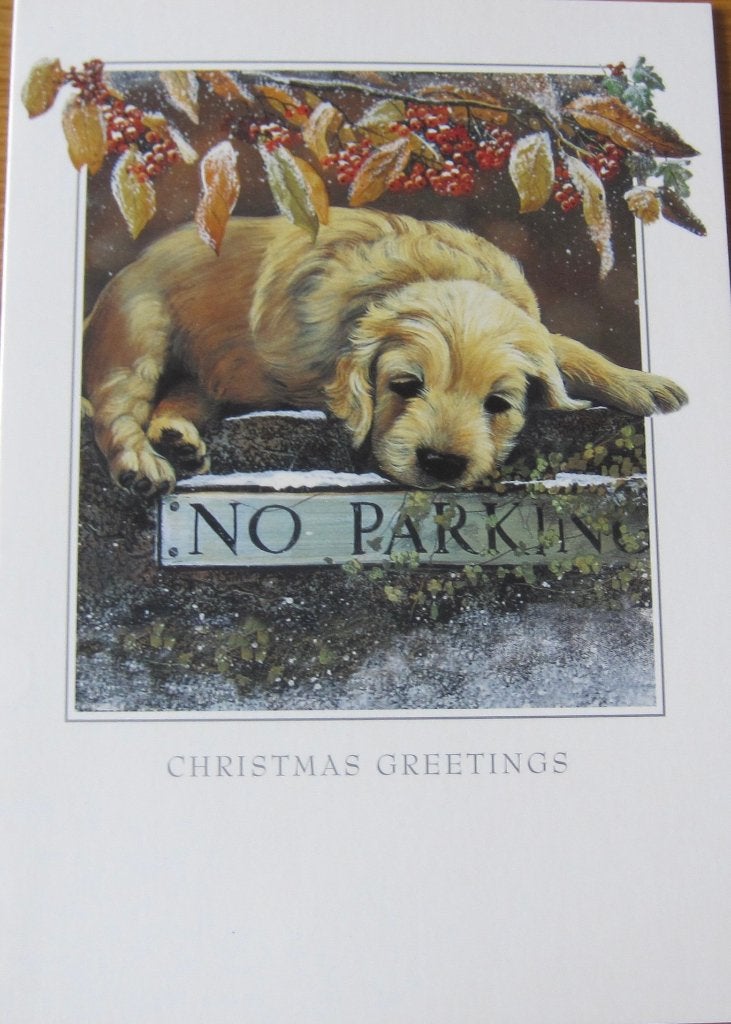 nieuwe dubbele kerstkaart van Otterhouse met labrador pup, Ophalen of Verzenden, Nieuw
