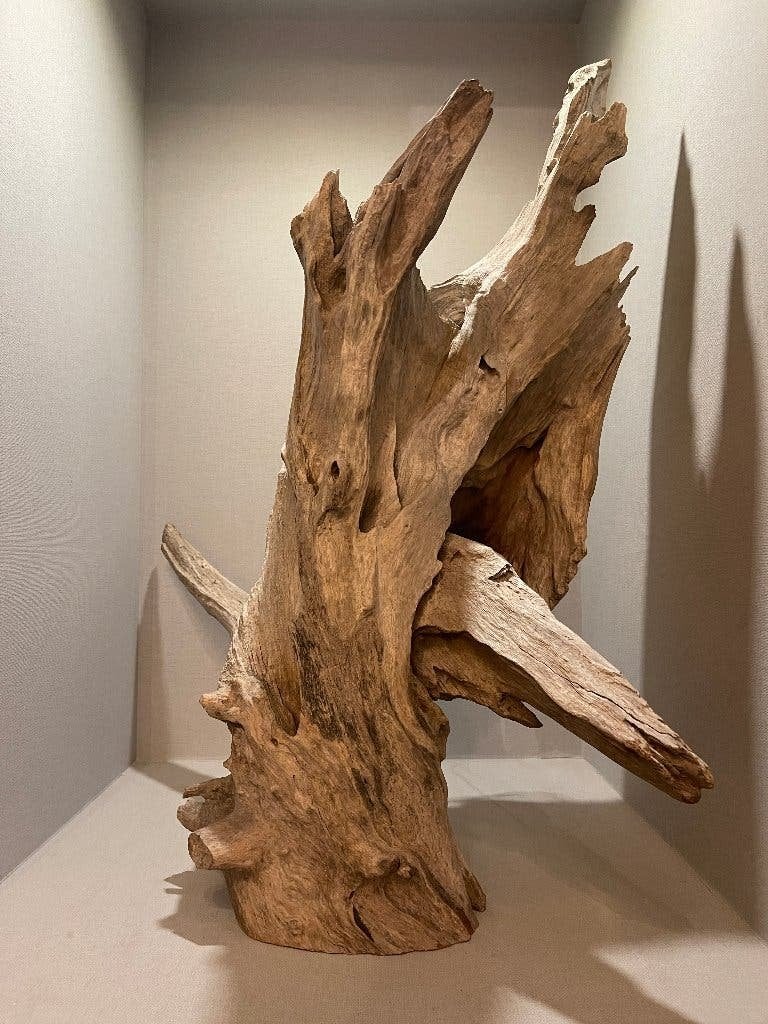 Ramon Monsanto Desert Flower – Hout | Ramon Monsanto, Ophalen, Overige onderwerpen, Houtsnijwerk, 50 - 100 cm