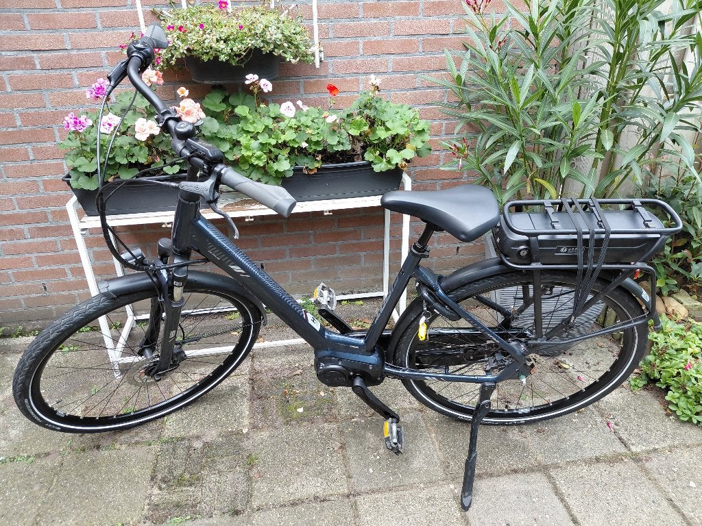 Giant Entour E 400 wh, Ophalen, Giant, Zo goed als nieuw, 51 tot 55 cm