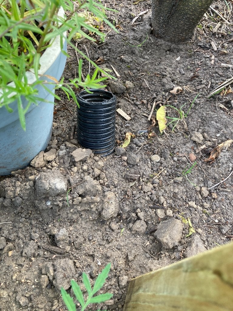 Boom of struik planten? Beluchtings/ watergeefbuis ingraven, Tuin en Terras, Planten | Bomen, Ophalen of Verzenden, Volle zon