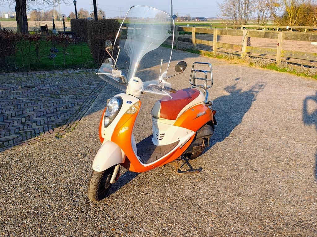 Sym Mio in Nette staat