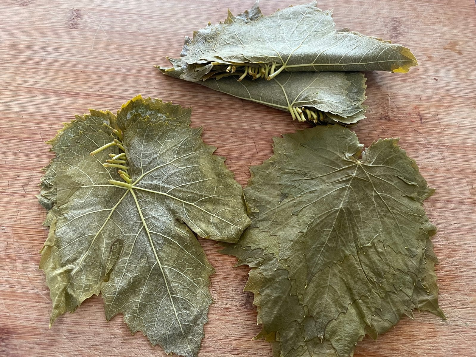 Jonge druivenbladen (druif soort: rood), Ophalen of Verzenden, Zo goed als nieuw