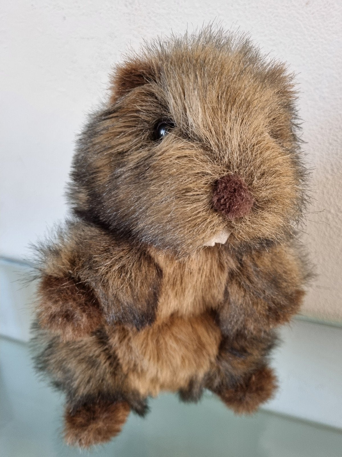 Orig,VNT,1996,Anna Club Plush,BEVER/MARMOT,30cm,Label,Izgst!, Verzamelen, Dierenverzamelingen, Ophalen of Verzenden, Zo goed als nieuw