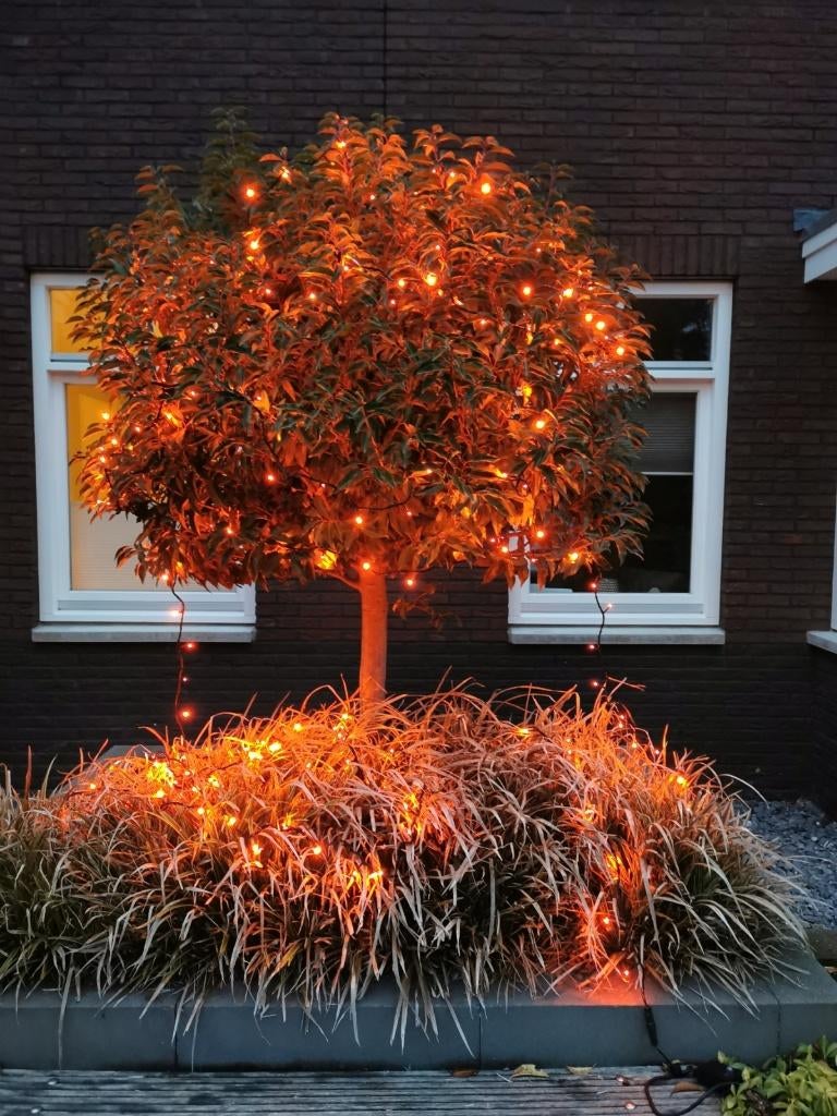 diverse LED sfeerverlichtingen voor ORANJE evenementen, Zakelijke goederen, Partijgoederen en Retail | Partijgoederen, Huis en Inrichting