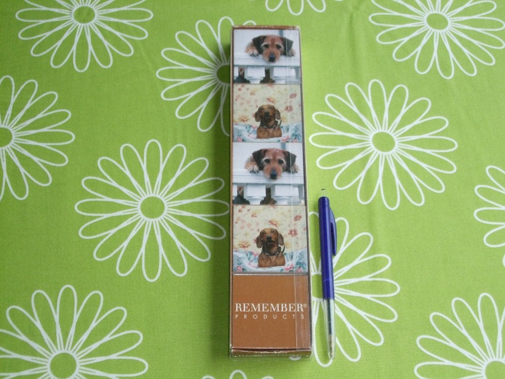 Honden memory van Remember products met 22 schattige honden, Hobby en Vrije tijd, Gezelschapsspellen | Overige, Een of twee spelers