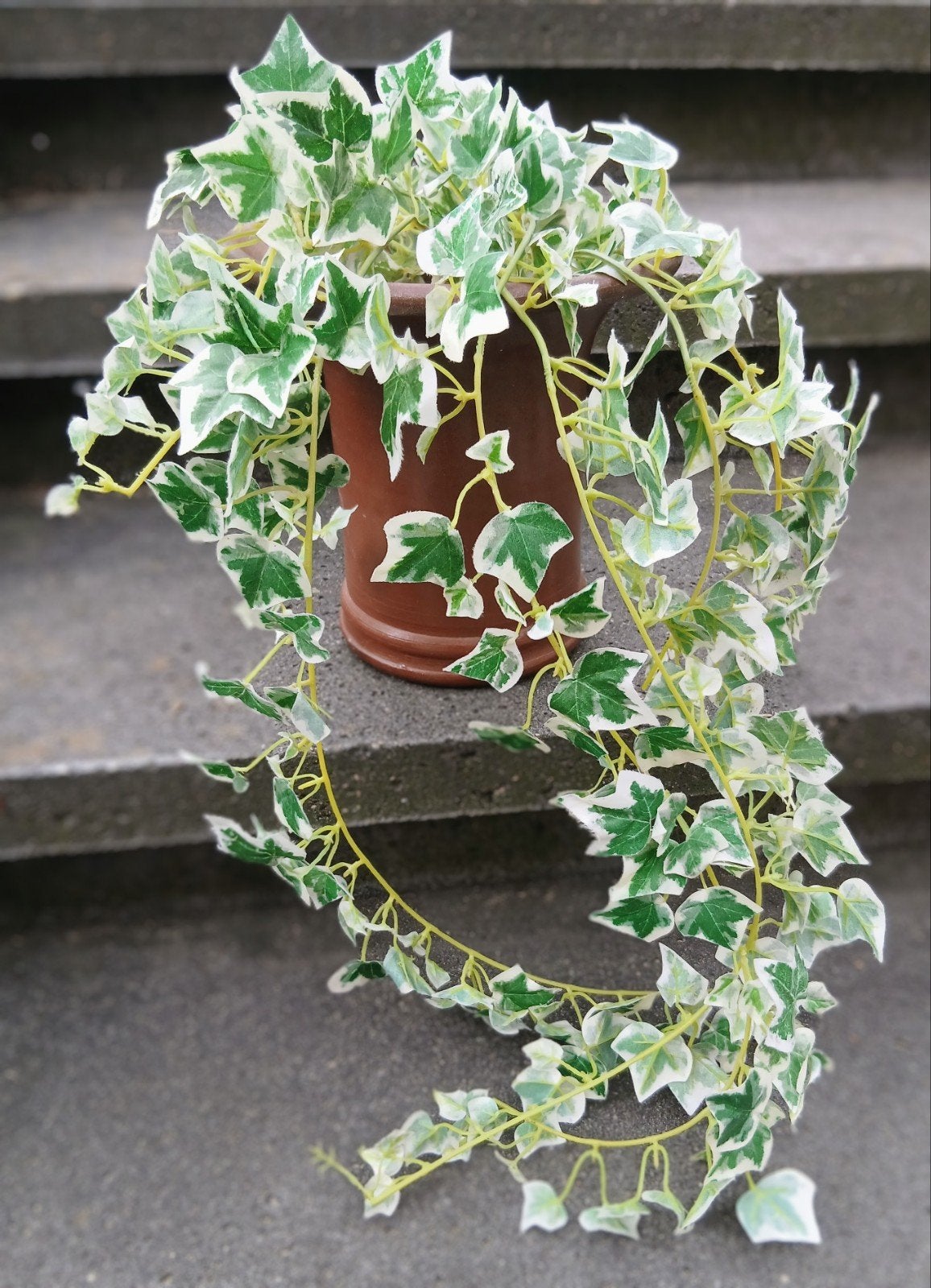 Hedera kunst hangplant in terracotta pot, Ophalen of Verzenden