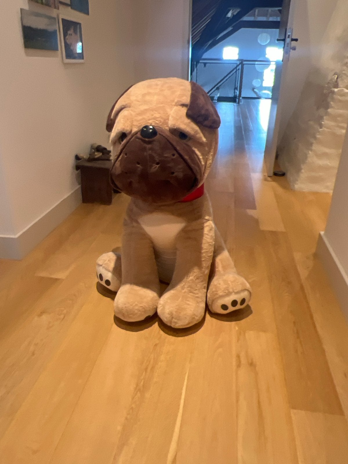 Grote knuffel mopshond, Ophalen, Overige merken, Overige karakters, Hond