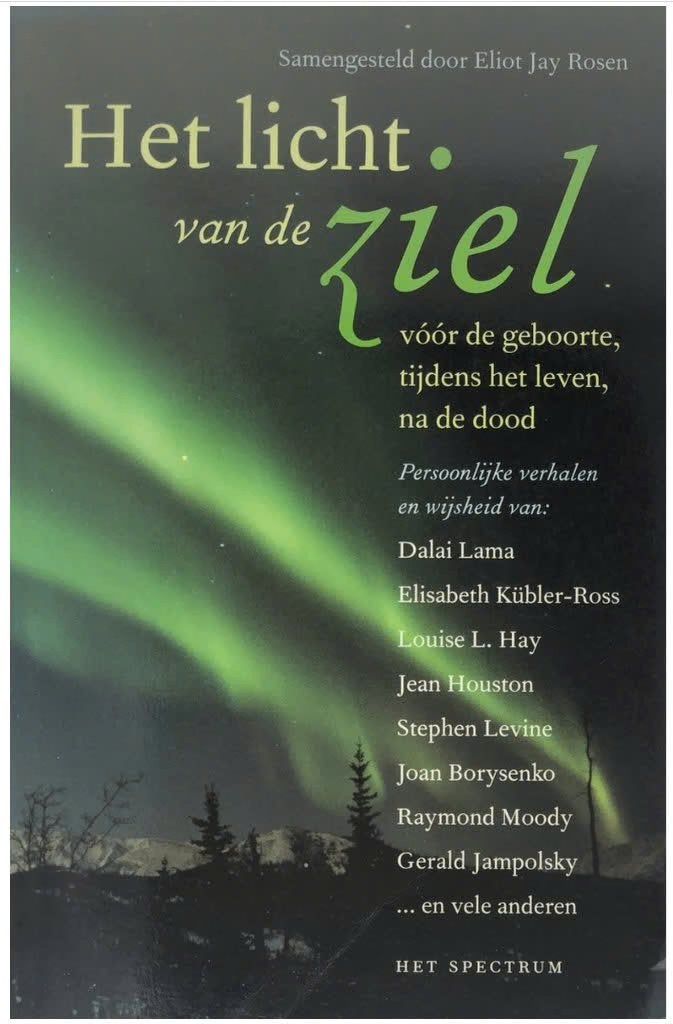 HET LICHT VAN DE ZIEL (Eliot Jay Rosen), Ophalen of Verzenden, Zo goed als nieuw, Sociale psychologie