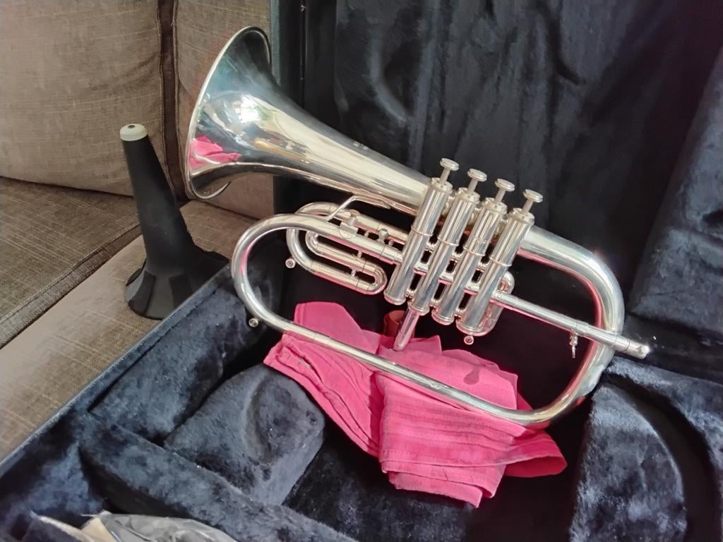 Getzen Bugel met 4 ventielen, inclusief standaard, Muziek en Instrumenten, Ophalen, Gebruikt, Koperblazer, Met koffer of draagtas
