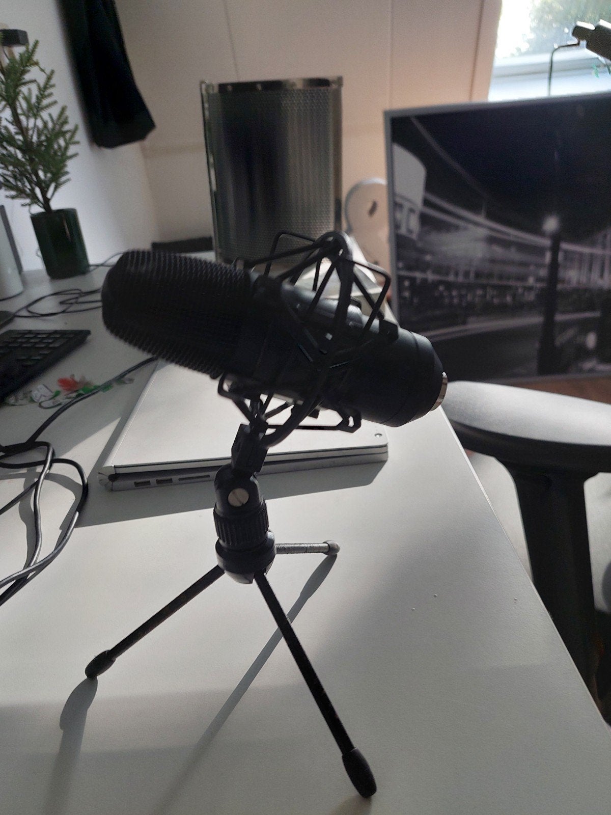 Studiomicrofoon met statief - Ideaal voor opnames, Muziek en Instrumenten, Ophalen of Verzenden, Zo goed als nieuw, Studiomicrofoon