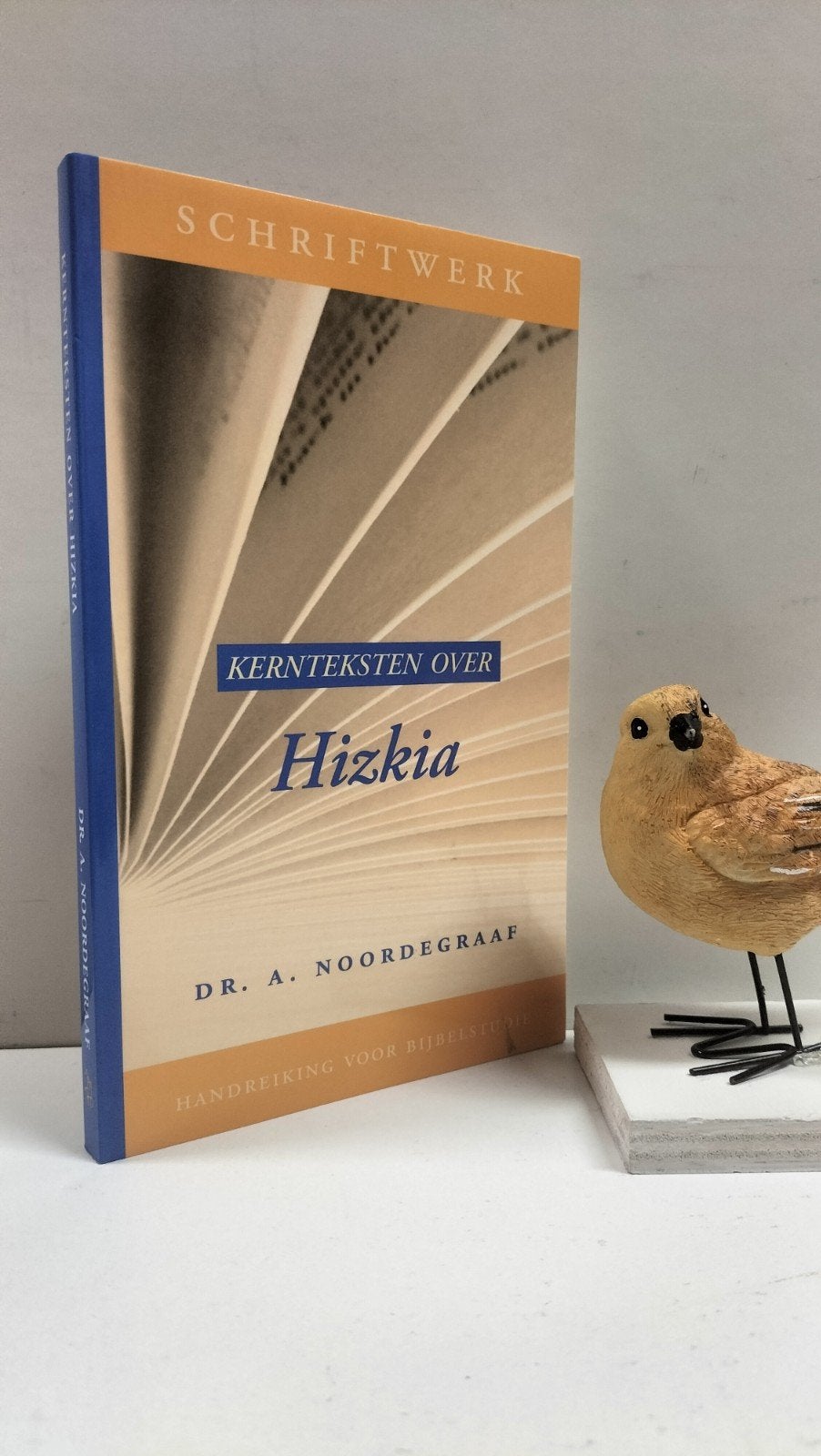 Noordegraaf, Dr. A.; Schriftwerk: Kernteksten over Hizkia, Boeken, Ophalen of Verzenden, Gelezen, Christendom | Protestants