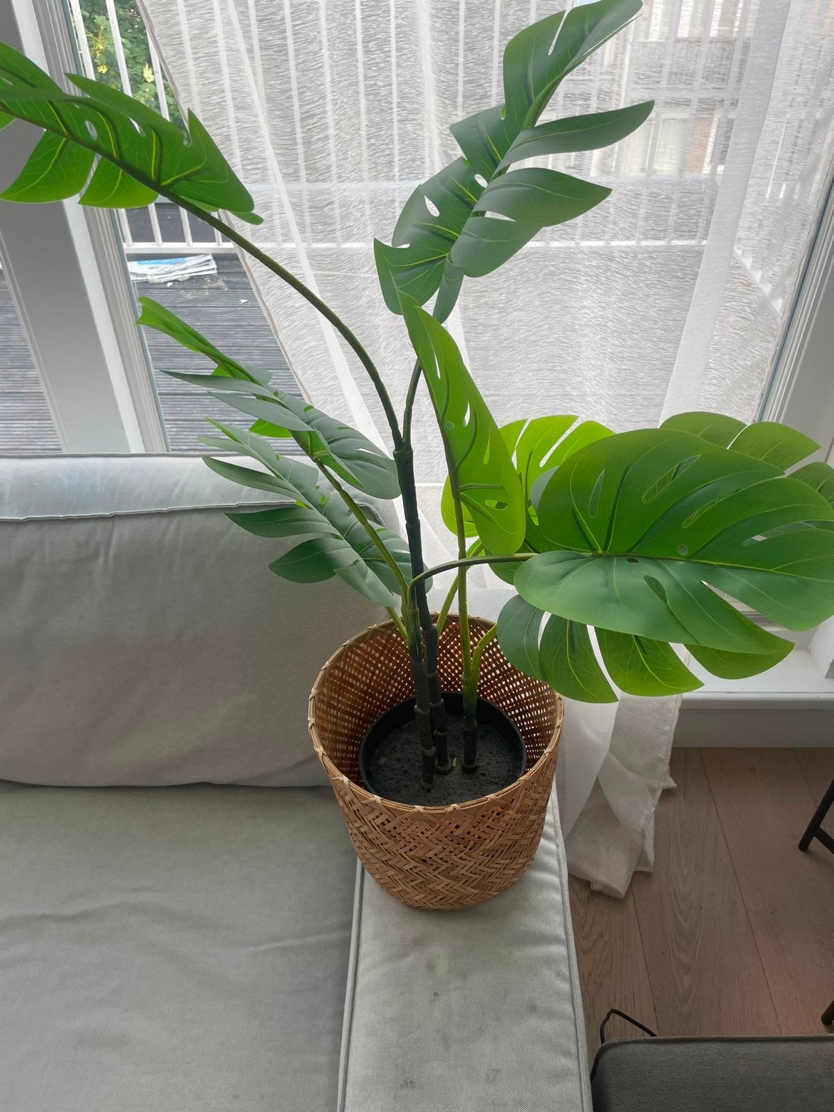 Grote kunstplant Monstera Deliciosa - onderhoudsvrij, Ophalen, Binnen, Groen, Kunstplant