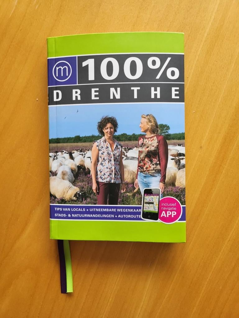 Judith de Ruiter - 100% Drenthe, Boeken, Reisgidsen, Zo goed als nieuw, Reisgids of -boek, Europa, Overige merken, Ophalen of Verzenden