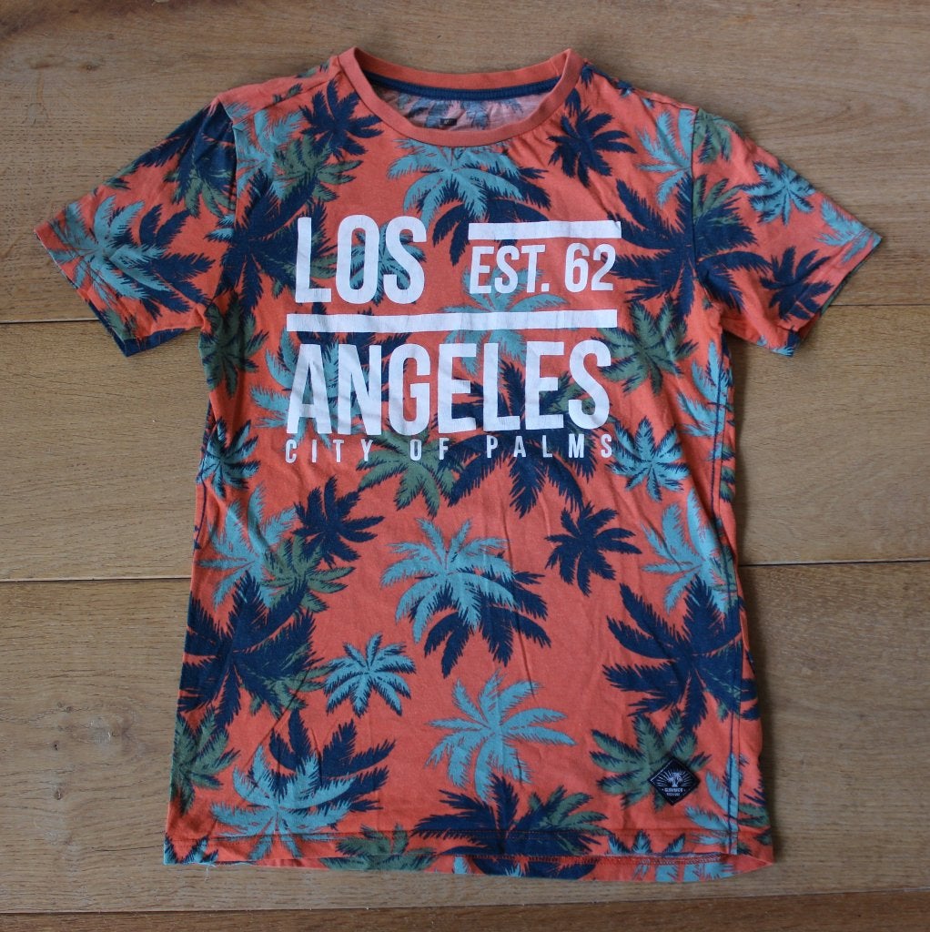 T-shirt van We 146/152, Kinderen en Baby's, Kinderkleding | Maat 146, Gebruikt, Ophalen of Verzenden, Shirt of Longsleeve, Jongen