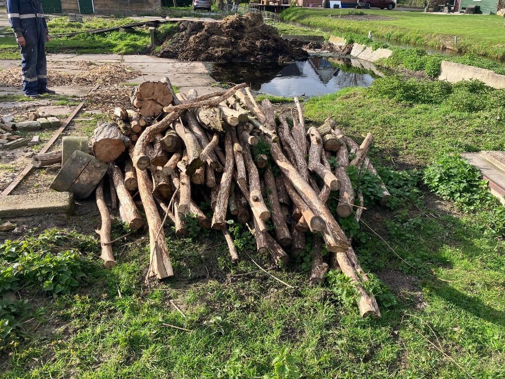 Brandhout, Tuin en Terras, Haardhout, 3 tot 6 m³, Ophalen, Overige houtsoorten, Stammen