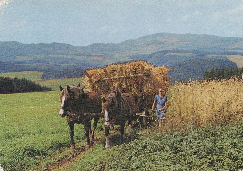 2 Paarden halen de oogst binnen 405, Ophalen of Verzenden, 1980 tot heden, Gelopen, Paard