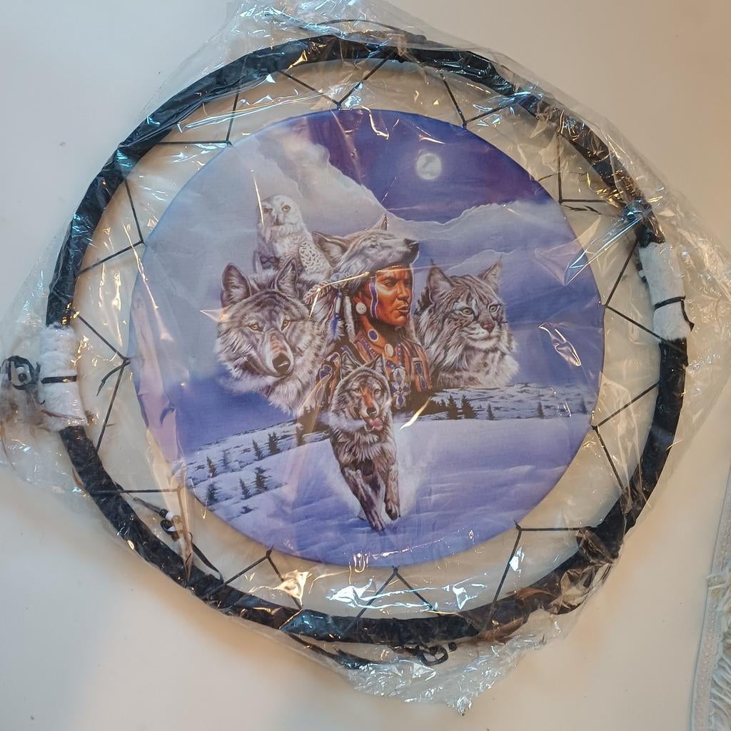 Droomvanger indiaan, Ophalen, 50 tot 75 cm, Nieuw, Schilderij