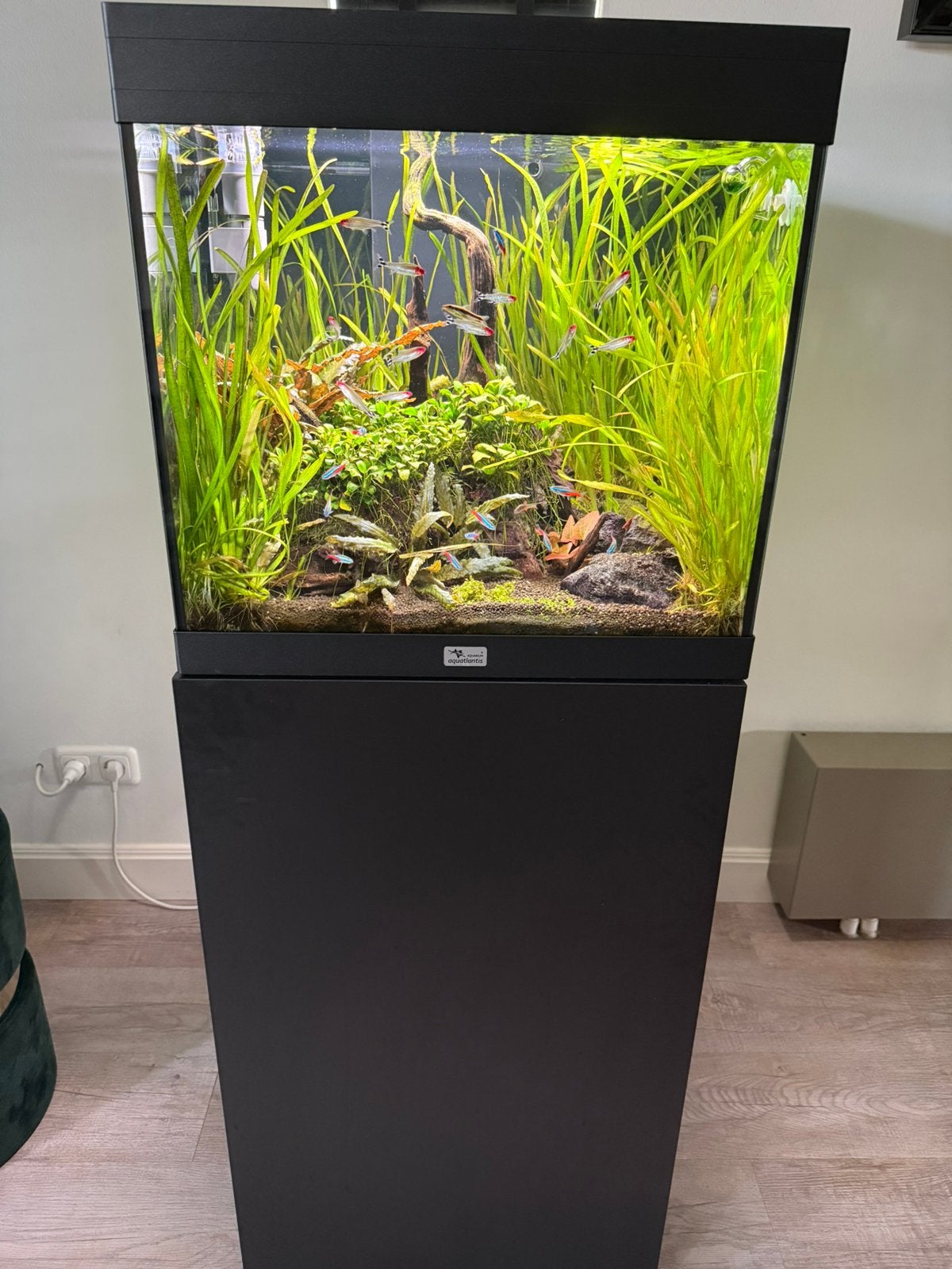 Aquatlantis Aqua Tower 120L – Compleet met vissen, CO2, Ophalen, Zo goed als nieuw, Gevuld zoetwateraquarium