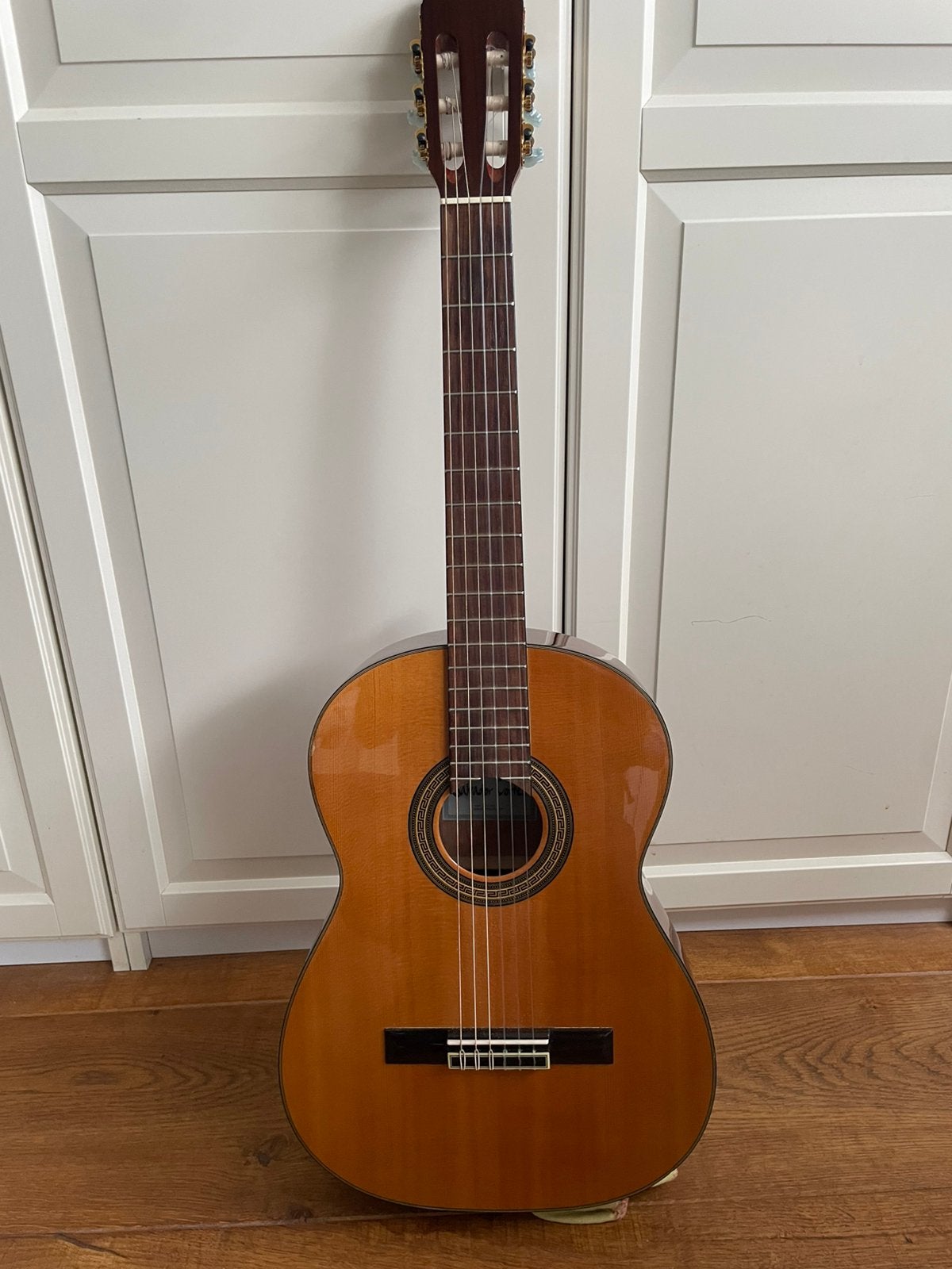 Klassieke gitaar Salvador Cortez met hoes, Ophalen, Zo goed als nieuw, Klassieke of Spaanse gitaar