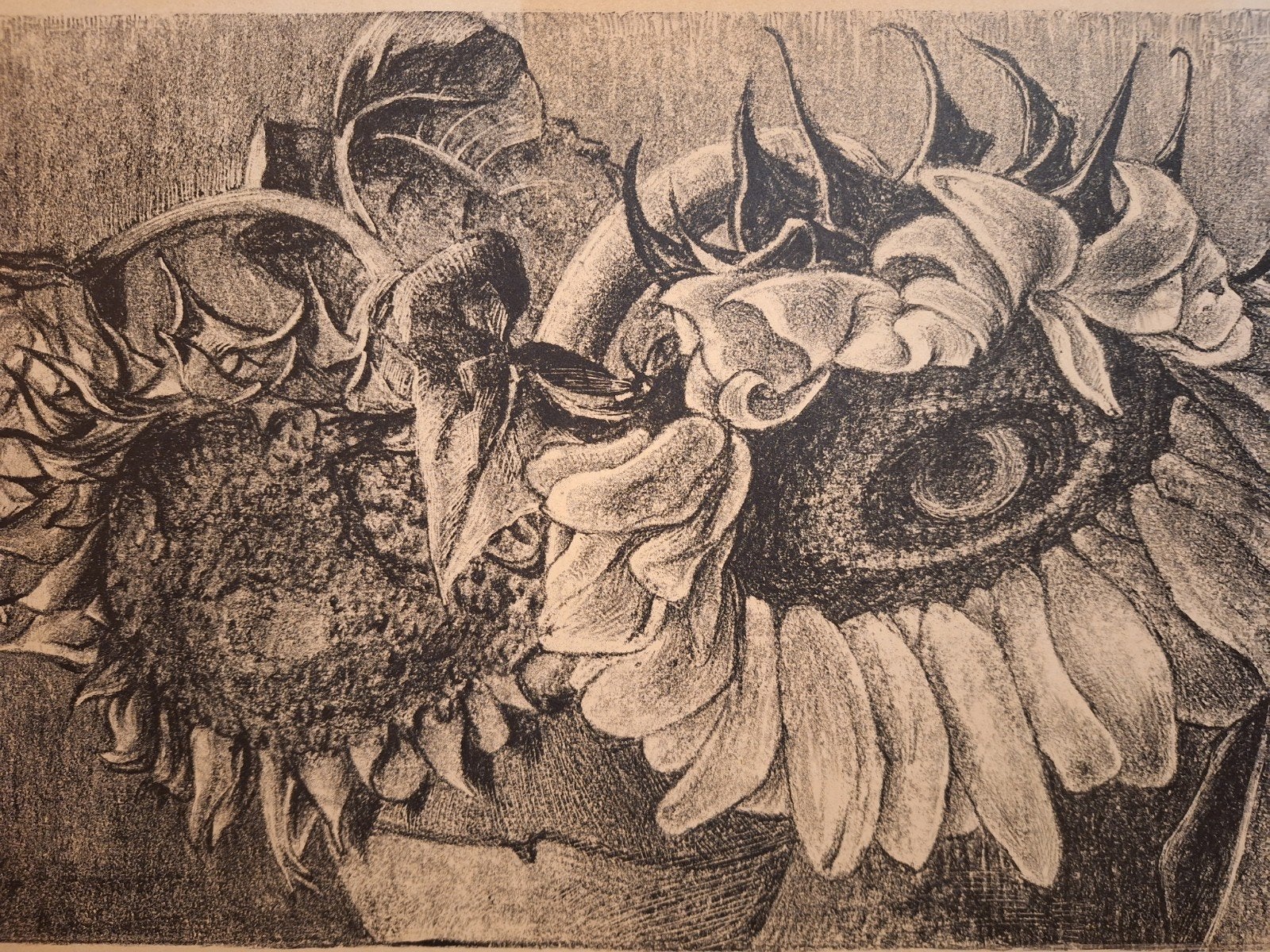 Lithografie Zonnebloemen door Bleekrode - MB26, Antiek en Kunst, Kunst | Litho's en Zeefdrukken, Lithografie, Dieren en Natuur