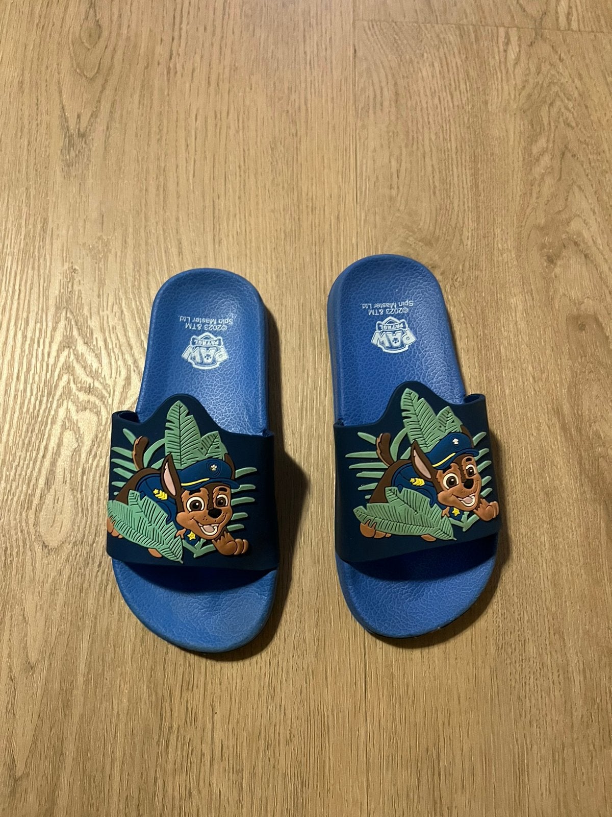 Slippers paw patrol zgan maat 28/29, Ophalen of Verzenden, Zo goed als nieuw, Meisje, Overige typen